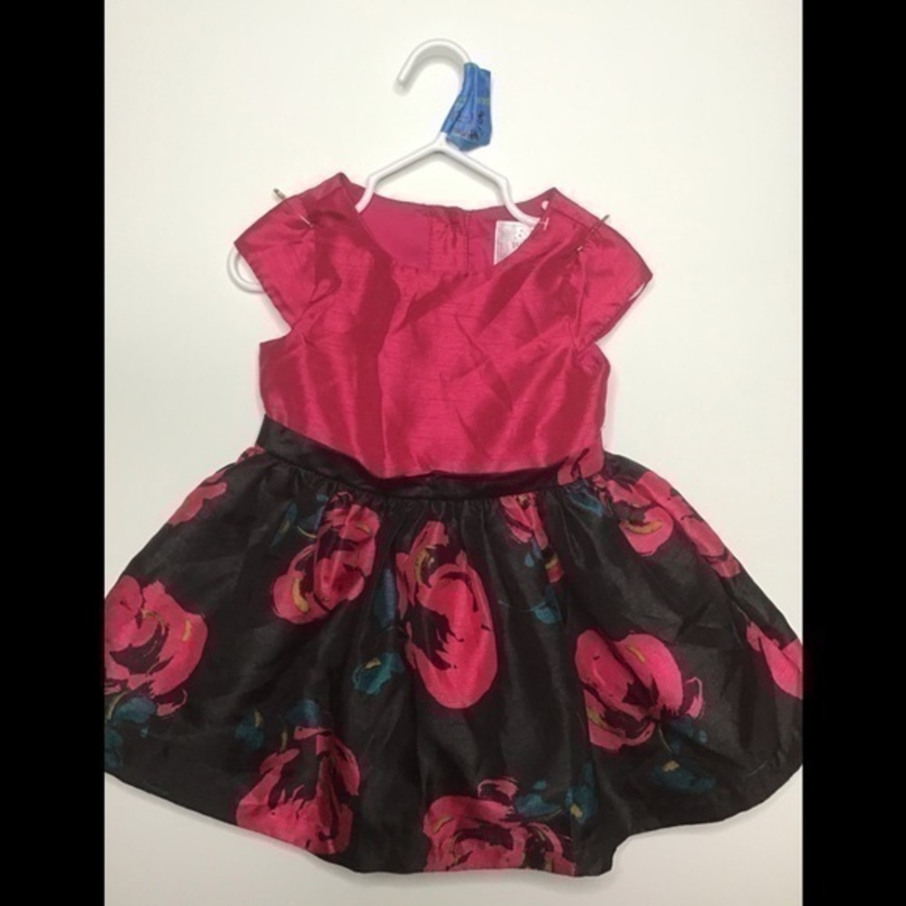 Dressed Up by Gymboree Dress Size 12-18 months